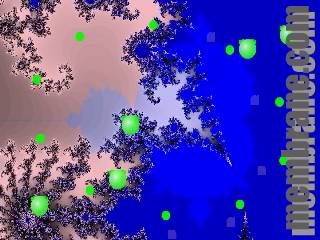 Most Unusual Fractal