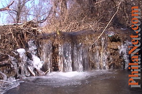 Spring Waterfall